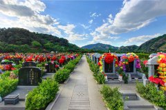 清东陵万佛园墓地价格2023年10月份更新