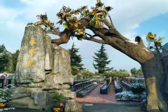 在西安灞桥区西安汉陵墓园选个生态壁葬,价格才6千左右