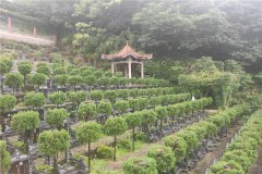 重庆渝北墓地-华夏园和天合陵园生态葬及立碑价格多少