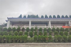 重庆市南岸区灵安陵园有生态葬吗价格多少钱