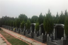 2024年河南焦作市武陟县天赐福陵公墓墓型价格表最新