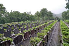 2024龙台山陵园墓地价格一览表最新