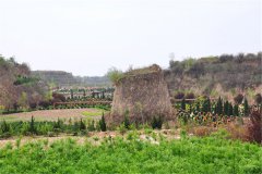 2024年河南荥阳市邙山生态陵园墓地价格表最新一览