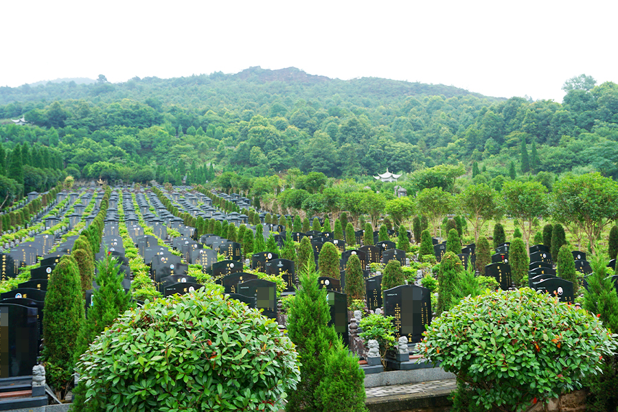 墓区绿化环境