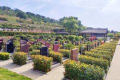 新密凤凰山人文纪念园生态葬及其他葬式价格多少钱？