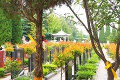 在荥阳青龙岗纪念园为亲人选购2万元左右龙凤墓碑的心路历程