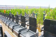 2024年西安鄠邑区墓地价格表最新