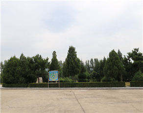 中华永久陵园环境