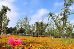 寿阳山墓园景观