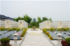 霸陵陵园举行了一场生态树葬、草坪葬、壁葬、台原葬的集体仪式
