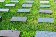 霸陵陵园树葬壁葬草坪葬哪个好且价格便宜？