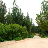 郑州净土生态园