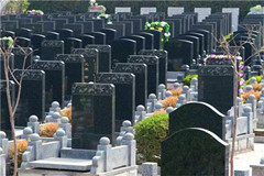 郑州墓地价格中原区多少钱？