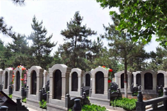 根据郑州来选墓专业建议为亲人在黄河北邙陵园选择合适墓碑