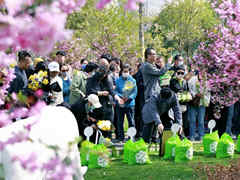 郑州市2024年公益树葬活动在河南福寿园举行