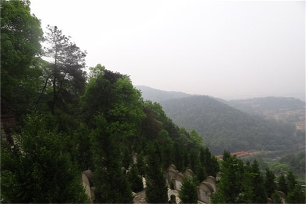 观音阁公墓景观图