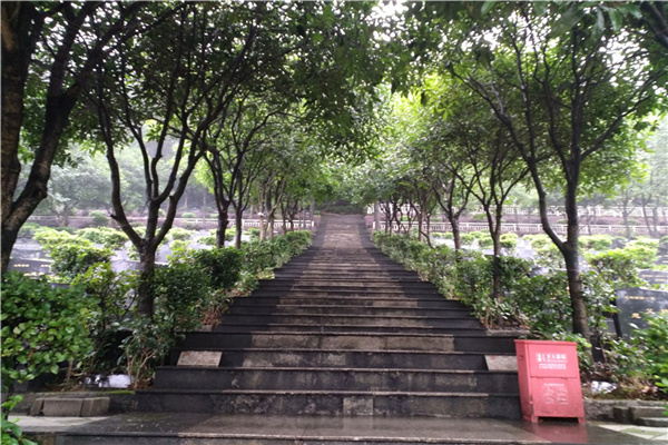 四公里公墓景观图