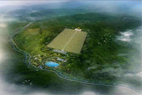 福鼎陵园景观图