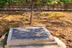 龙台山陵园壁葬、草坪葬、树葬、立碑价格12670元-28800元