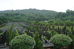 仙女山公墓地址在哪里什么价格？仙女山公墓电话地址价格介绍