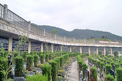 燕尾山公墓怎么样有哪些优势？燕尾山公墓墓地墓碑价格多少钱？