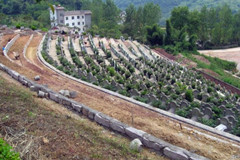 重庆巴南燕尾山公墓墓价多少？环境如何？