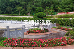仙友山公墓花坛葬的墓地价格是13000元起步吗？