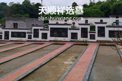 仙人堂生命纪念园壁葬价格15800元,树葬价格16800元起步？