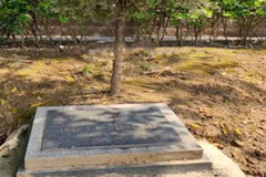 白市驿龙台山陵园价格及预约电话是多少？