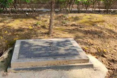 重庆九龙坡区龙台山陵园墓地价格大全？