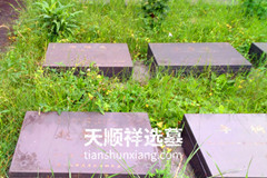 重庆九龙坡生态葬墓地价格表最新？（附加墓园地址）