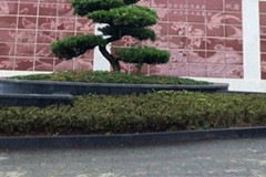  重庆灵安陵园官方网站电话号码多少？价格及管理费怎么样多少钱？