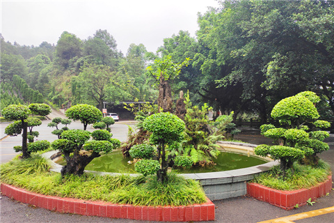 巴南区附近有哪些公墓地址在哪？