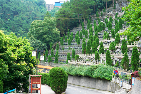 九龙坡区龙居山陵园墓地价格多少？九龙坡区龙居山陵园墓地价格表