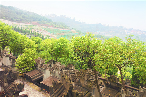 重庆大渡口有墓地吗几个？重庆大渡口墓地价格多少？