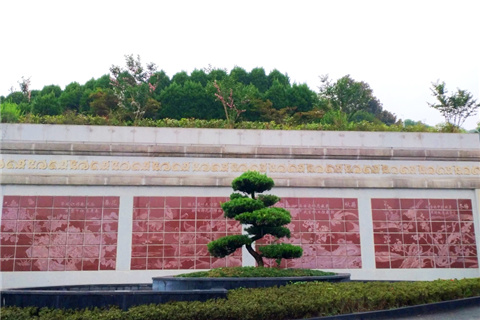 在灵安陵园天堂园区为亲人寻觅带佛的生态壁葬