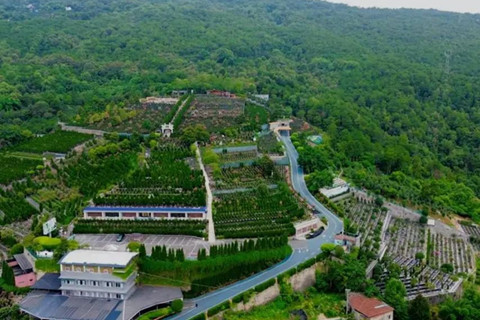 热播剧《难哄》中温以凡祭奠父亲的场景,取景于灵安陵园