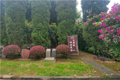 重庆市巴南区仙居山陵园2025年最新价格一览