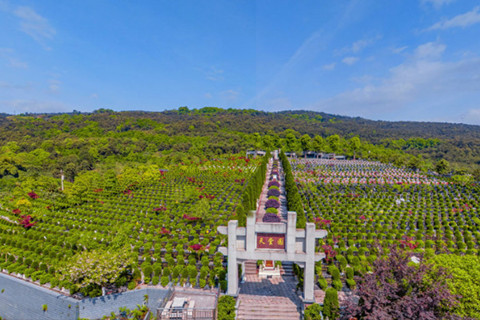 重庆市南岸区生态树葬墓地具体地址在哪?树葬什么价格？