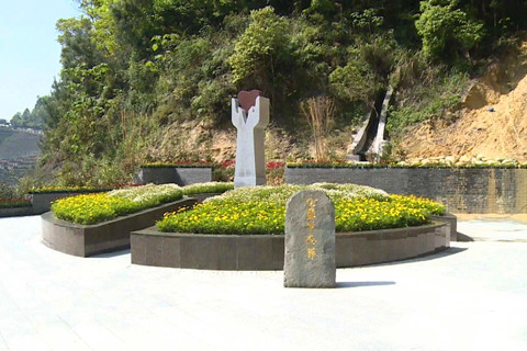 重庆公益生态葬与自然相拥,让生命以别样姿态延续