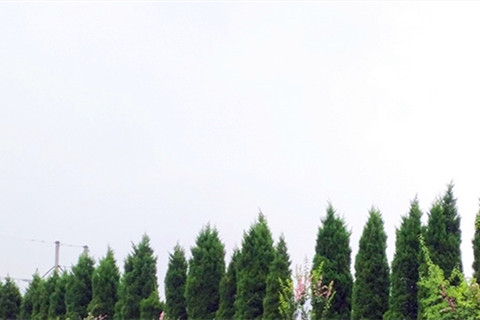 重庆补助对象在市外或在本市跨区县(不包括主城各区之间)死亡火化,如何办理补助事宜?