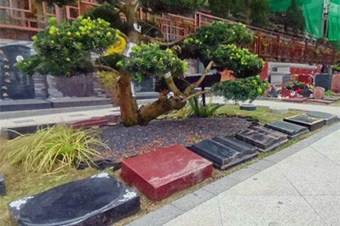 对比重庆多家陵园,龙居山陵园江南风格环境脱颖而出