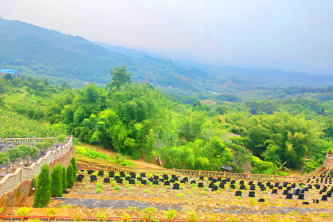 重庆江津区有哪些公墓陵园？能列举下他们的特色吗？