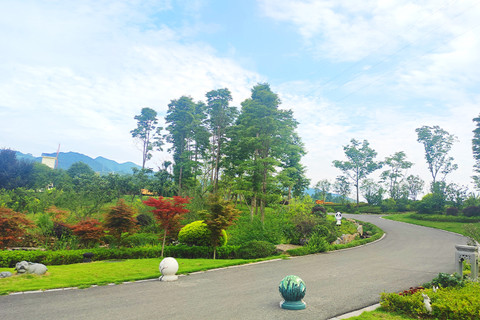 重庆璧山西郊福寿园小2万单穴壁葬还有位置吗？交通方便吗？