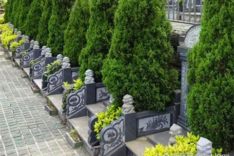 2026重庆南岸区观音山陵园：公益生态葬价格5000元以内,绿色安葬惠民生