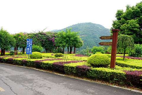 重庆市龙居山陵园：予生命以尊严,予岁月以安宁