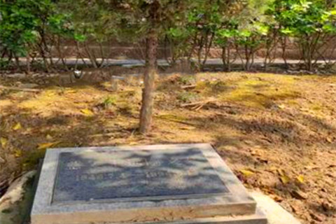 重庆九龙坡区龙台山陵园生态葬葬式价格及选墓电话拨打400-690-3470