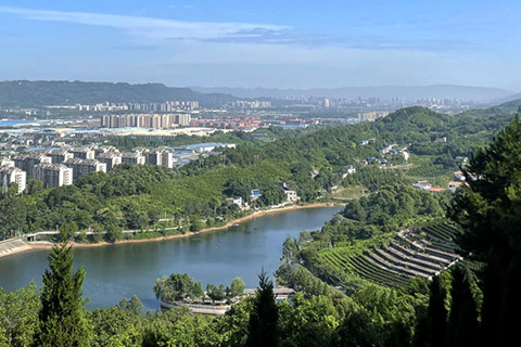 小王重庆市九龙坡龙居山陵园选墓经历,选个生态树葬2万左右