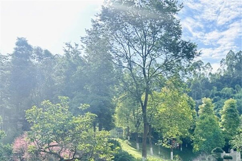 西郊福寿园5月家书请亲启