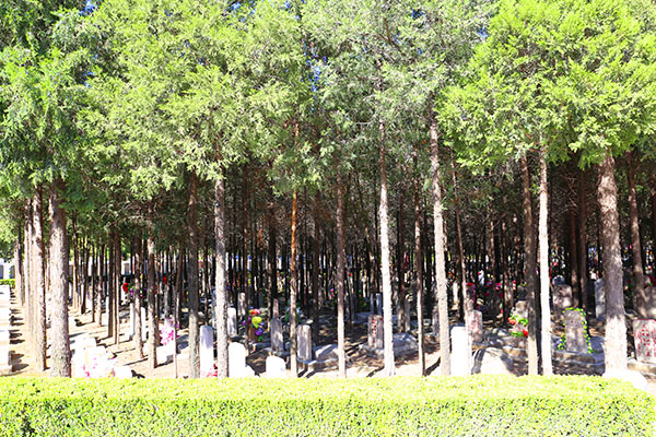 八宝山人民公墓景观图